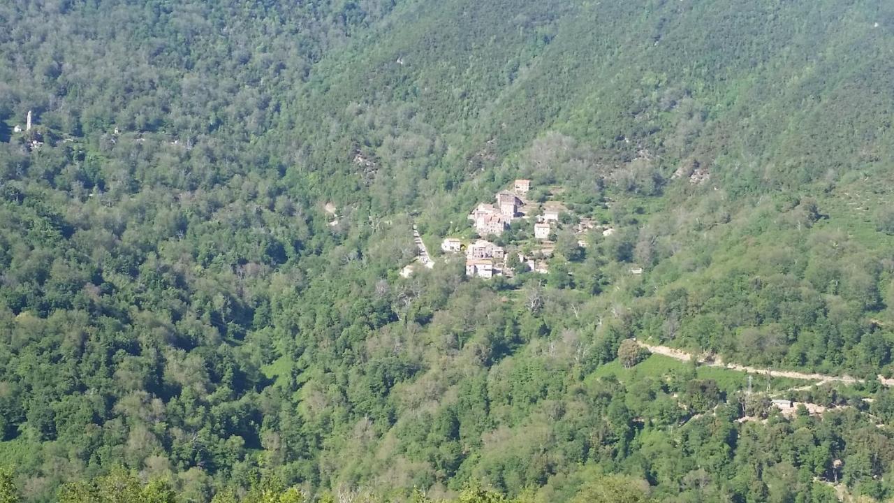فيلا La Source 8 Ou 6 Couchages Valle d'Alesani المظهر الخارجي الصورة